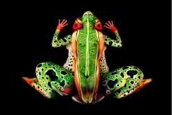 post-7121-0-74965500-1387545309_thumb.jp