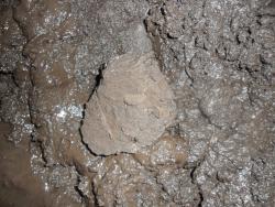 post-7929-0-67861000-1386410931_thumb.jp