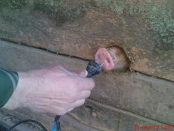 post-8114-0-82799700-1387628801_thumb.jp