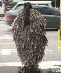 post-8327-0-43623800-1387768502_thumb.jp