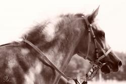 post-9320-0-94772900-1386958350_thumb.jp