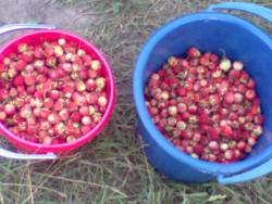 post-10547-0-11792200-1417942149_thumb.j