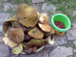 post-10547-0-14333400-1417942122_thumb.j