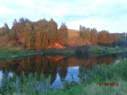 post-10547-0-21714200-1419087270_thumb.j