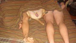 post-10547-0-35554800-1419743815_thumb.j