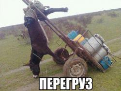 post-10547-0-36341000-1419169256_thumb.j