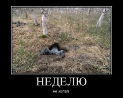 post-10547-0-76084000-1417803835_thumb.j