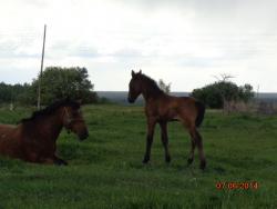 post-10547-0-83973600-1417942041_thumb.j