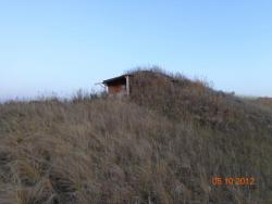 post-10547-0-91947200-1419086861_thumb.j