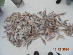 post-11523-0-95941400-1418398356_thumb.j