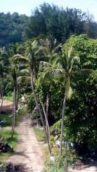 post-11668-0-50088900-1419914657_thumb.j