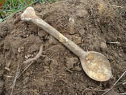 post-12373-0-30740300-1419778761_thumb.j