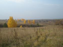 post-12373-0-53439400-1417963433_thumb.j