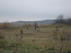 post-12373-0-79610400-1419778507_thumb.j