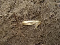 post-12373-0-81313900-1417964248_thumb.j