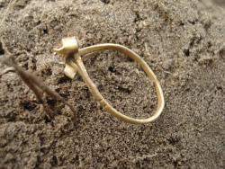 post-12373-0-99663400-1417964241_thumb.j