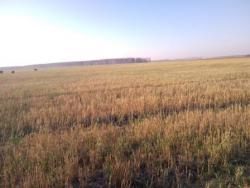 post-14670-0-65710200-1419957894_thumb.j