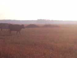 post-14670-0-89679900-1419957907_thumb.j