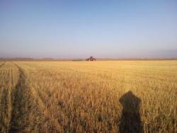 post-14670-0-94551200-1419957925_thumb.j