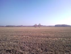 post-14670-0-94773000-1419957967_thumb.j