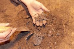 post-2102-0-47883600-1419954885_thumb.jp