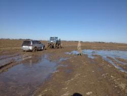 post-25250-0-24924000-1419617237_thumb.j