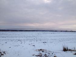 post-25250-0-62192300-1419617632_thumb.j