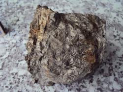 post-26389-0-06132700-1418456392_thumb.j