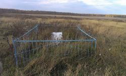 post-26894-0-26387300-1417463842_thumb.j