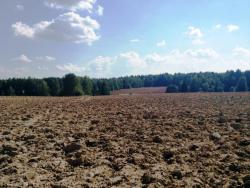 post-26941-0-39378600-1419848424_thumb.j