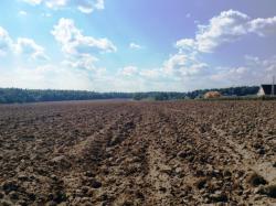 post-26941-0-57673700-1419848384_thumb.j