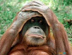 post-26941-0-90988200-1418799835_thumb.j