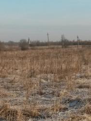 post-27784-0-10842400-1418043228_thumb.j