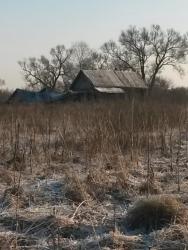 post-27784-0-37352000-1418043187_thumb.j