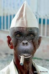 post-27784-0-59149500-1417697993_thumb.j