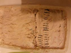 post-27784-0-89489400-1419246013_thumb.j