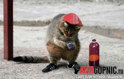 post-28141-0-25085800-1418902335_thumb.j