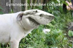 post-28141-0-54649100-1419523494_thumb.j