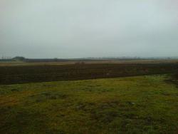 post-28141-0-65705600-1418659132_thumb.j