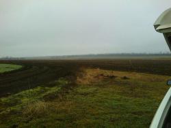 post-28141-0-73848000-1418659139_thumb.j