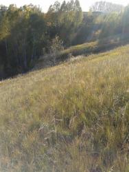 post-29383-0-06136900-1418292662_thumb.j