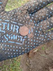 post-29383-0-07872200-1418295129_thumb.j