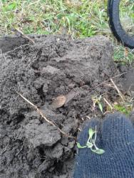 post-29383-0-11772200-1418295168_thumb.j