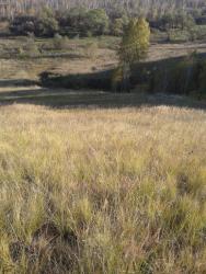 post-29383-0-14091100-1418292649_thumb.j