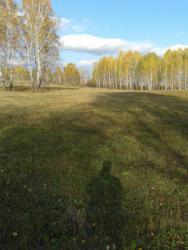 post-29383-0-70721000-1418293468_thumb.j