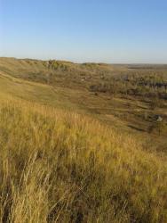 post-29383-0-75757300-1418292911_thumb.j