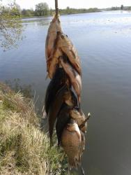 post-29383-0-84392600-1418297021_thumb.j