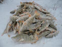 post-29871-0-39321200-1417762450_thumb.j