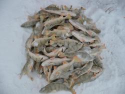 post-29871-0-42824800-1417762329_thumb.j