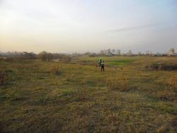 post-32197-0-05276300-1418589447_thumb.j